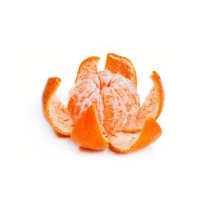 性插图成人视频免费观看
